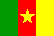 Kamerun Labdarúgás