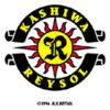 Kashiwa Reysol Labdarúgás