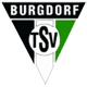 TSV Burgdorf Kézilabda