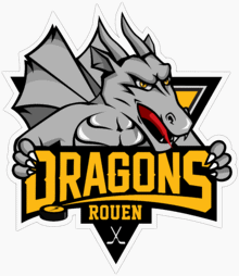 Dragons de Rouen Jégkorong