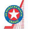 Horácká Slavia Třebíč Jégkorong