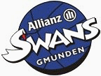 Logo týmu