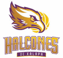 Logo týmu