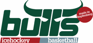 Logo týmu