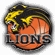 BK Lions J. Hradec Kosárlabda