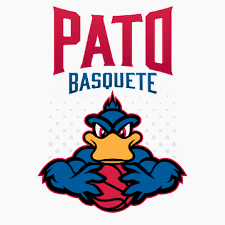 Pato Basquete Kosárlabda