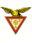 AVS Futebol SAD Labdarúgás