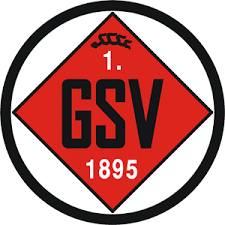 Logo týmu