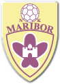 Logo týmu