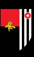 RWD Molenbeek Labdarúgás