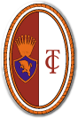 FC Torino Labdarúgás