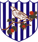 West Bromwich Albion Labdarúgás