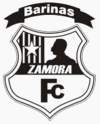 Logo týmu