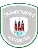 Skanderborg Kézilabda