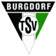 Logo týmu