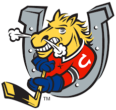 Logo týmu
