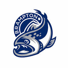 Brampton Steelheads Jégkorong