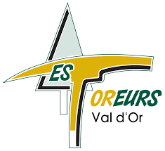 Logo týmu