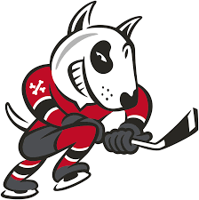 Niagara IceDogs Jégkorong