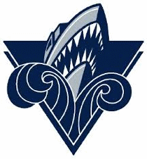 Logo týmu