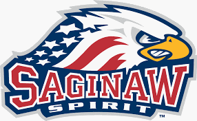 Saginaw Spirit Jégkorong