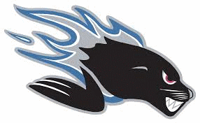 Saint John Sea Dogs Jégkorong