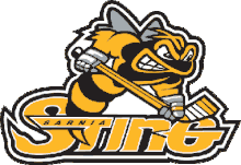 Sarnia Sting Jégkorong