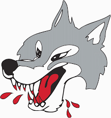 Sudbury Wolves Jégkorong