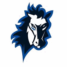 Wipptal Broncos Jégkorong