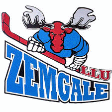 Logo týmu