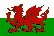  Cymru Premier tippek